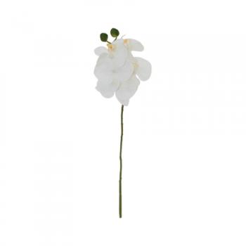 White Orchid  -  44 cm