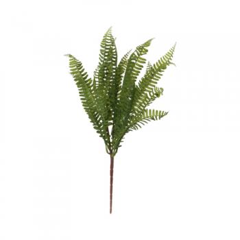 Fern Bunch  -  47 cm