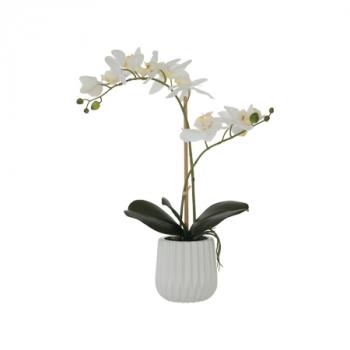 White Real Touch Orchid  -  53 cm