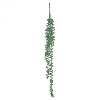 Pearl Succulent String  