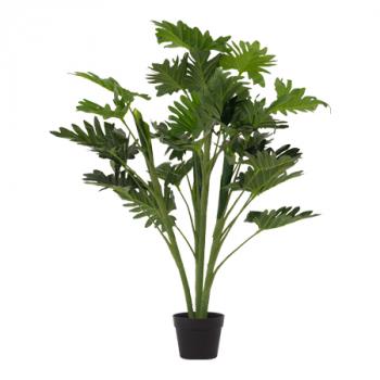 Delicious Monster In Pot  -  95 cm