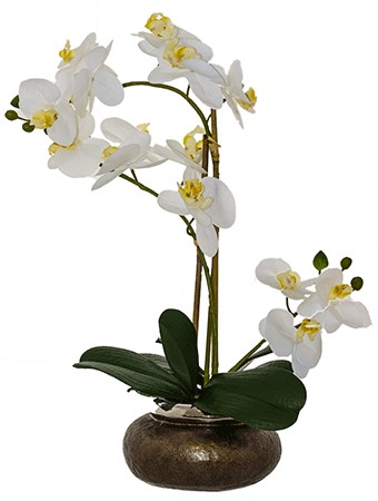 White Real Touch Orchid  -  53 cm
