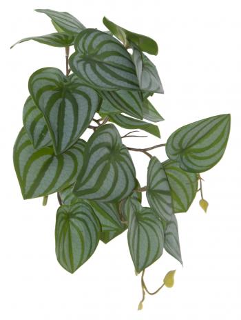 Pothos Plant Leaf Stem  -  23 cm