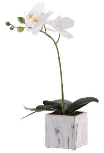 White Orchid in Marble Pot  -  33 cm