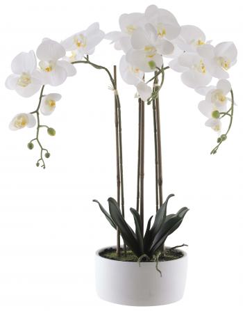 Real Touch White Orchid in Pot  -  60 cm