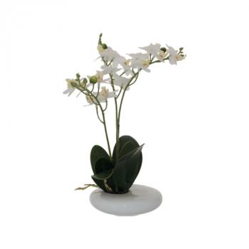 White Real Touch Orchid  -  30 cm