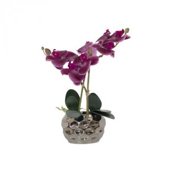 Purple Orchid / Silver Pot  -  33 cm