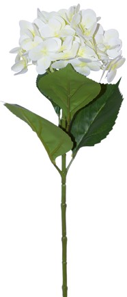 Cream Hydrangea Stem  -  68 cm