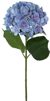 Blue Hydrangea Stem  -  68 cm