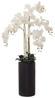White 'Real Touch' Orchid  -  135 cm