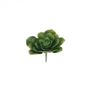 Green Desert Rose  -  11 x 13 cm