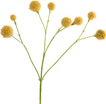 Camomile Stem  -  50 cm