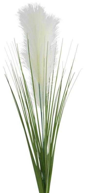Pampas Stem  -  Cream  -  90 cm