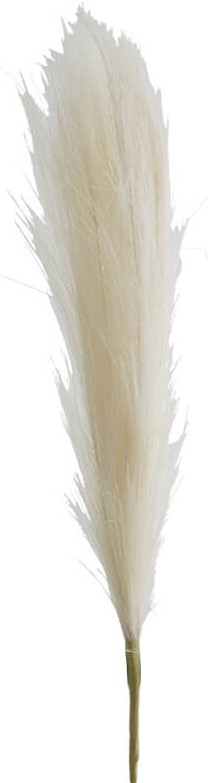 Beige Pampas Grass  -  44 cm