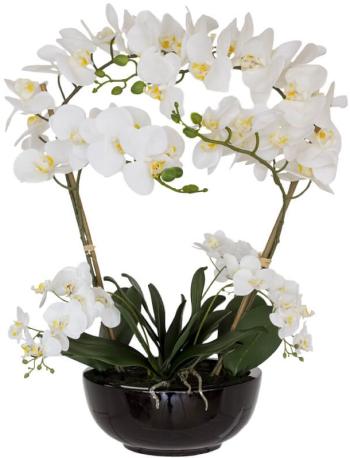 White Real Touch Orchid  -  64 cm