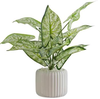 Arrowhead in Pot  -  41 x 35 cm