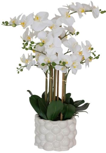 White Real Touch Orchid  -  71 cm