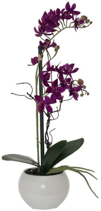 Burgundy Orchid  -  36 cm