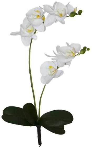 White Real Touch Orchid Spry  -  48 cm