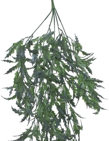 Hanging Hemp Plant  -  80 cm