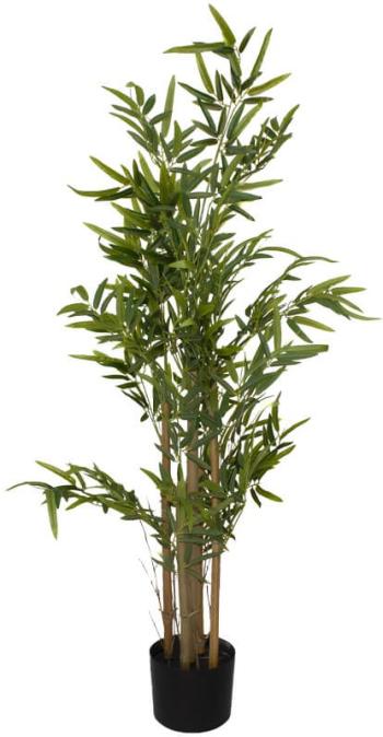 Bamboo Tree in Pot  -  1,2 m