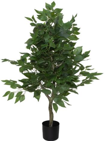 Ficus Tree in Pot  -  90 cm