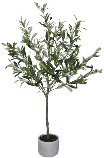 Olive Tree  -  109 cm