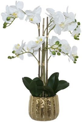 White Orchid in God Pot  -  58 cm