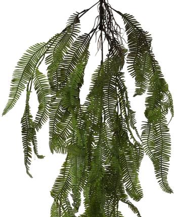 Feather Hanging Fern  -  106 cm