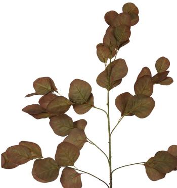 Eucalyptus Autumn Stem  -  88 cm