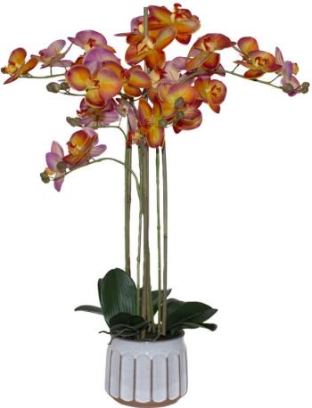 Orange Orchid in Pot  -  74 cm