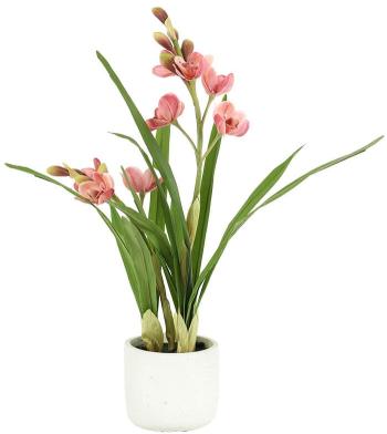 Pink Cymbidium in Pot  -  55 cm
