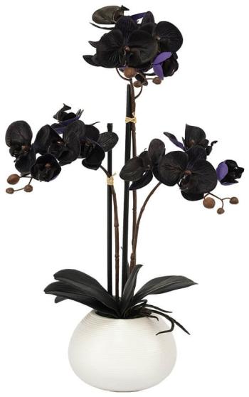 Purple/Black Orchid in Pot  -  56 cm