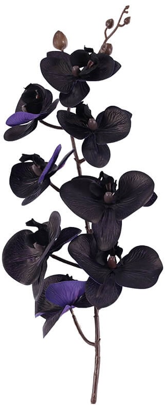 Purple/Black Orchid Spray  -  88 cm